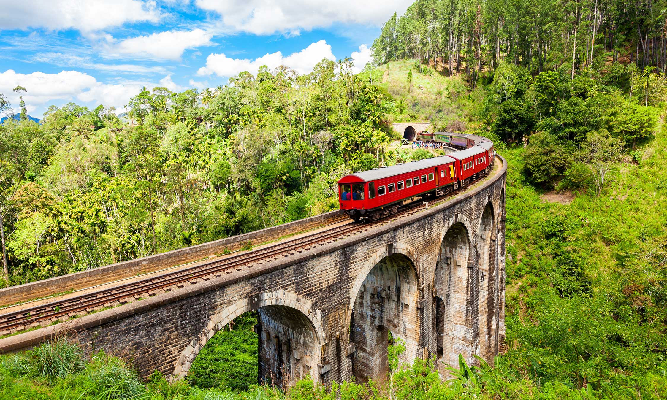 shutterstock_2421257091