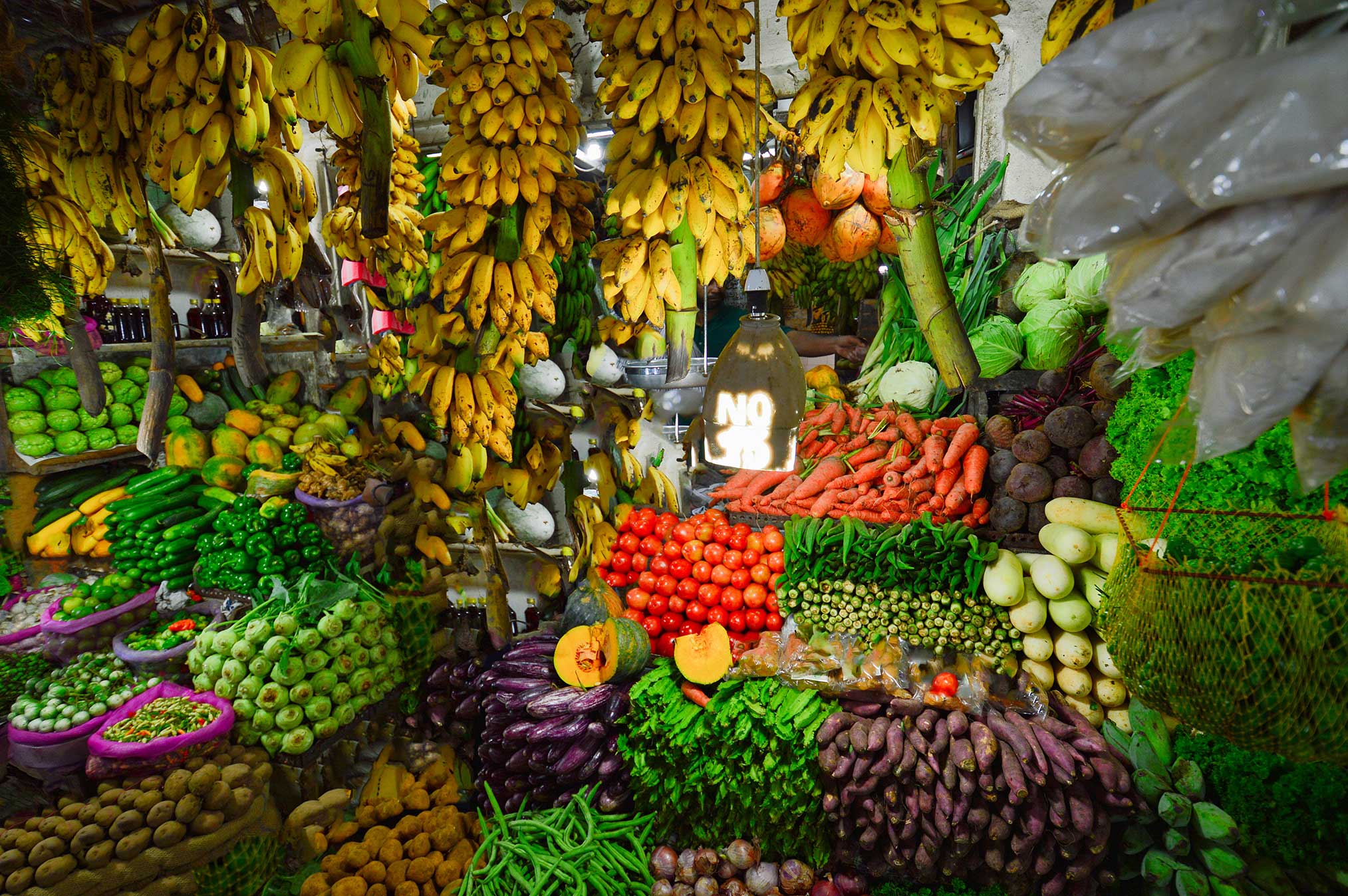 shutterstock_792676456---Kopie